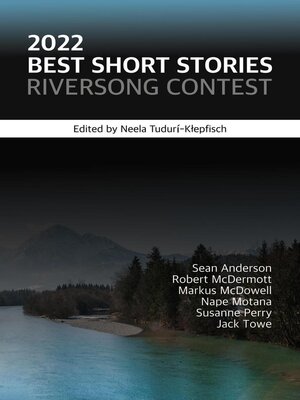 cover image of 2022 Best Short Stories